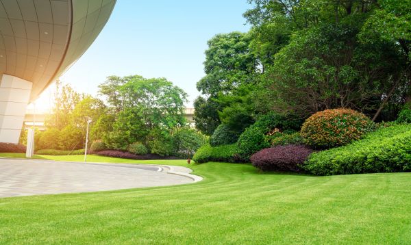 Commercial Shrub Trimming in Lynchburg