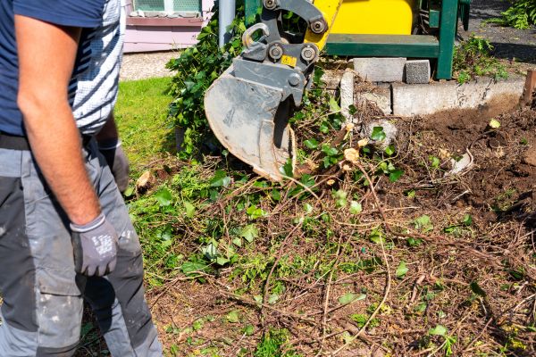 Hedge Removal Service in Lynchburg