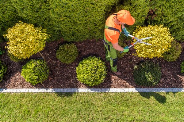 Cost of Topiary Trimming in Lynchburg