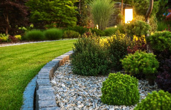 Cost of Bush Relocation in Lynchburg