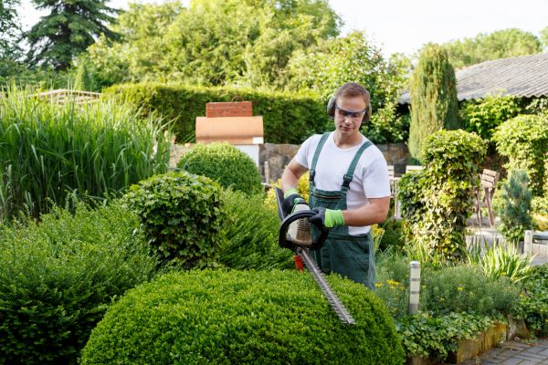 Shrubs Trimming in Lynchburg