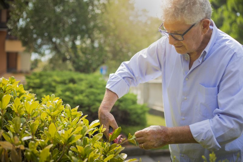 Bush Pruning detail